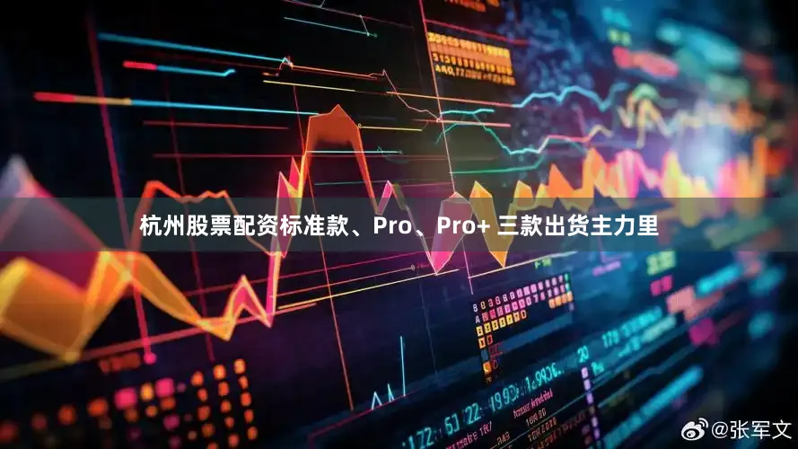 杭州股票配资标准款、Pro、Pro+ 三款出货主力里