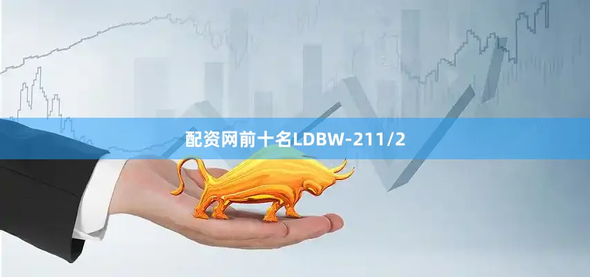 配资网前十名LDBW-211/2