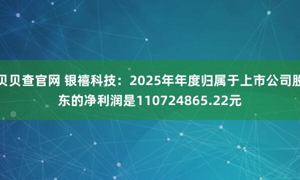 贝贝查官网 银禧科技：2025年年度归属于上市公司股东的净利润是110724865.22元