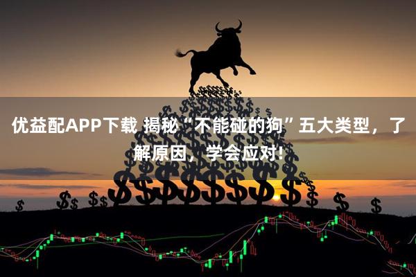 优益配APP下载 揭秘“不能碰的狗”五大类型，了解原因，学会应对!