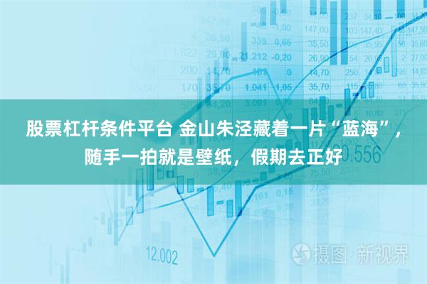 股票杠杆条件平台 金山朱泾藏着一片“蓝海”，随手一拍就是壁纸，假期去正好