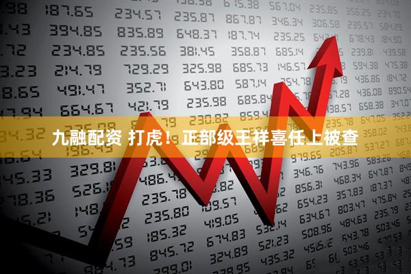 九融配资 打虎！正部级王祥喜任上被查