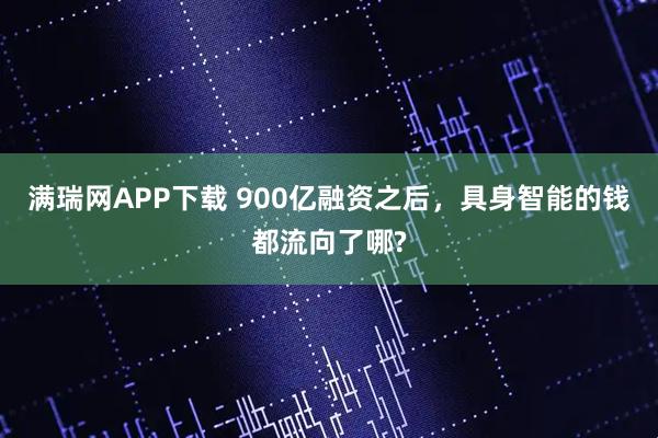 满瑞网APP下载 900亿融资之后，具身智能的钱都流向了哪?